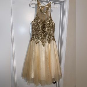 Camille La Vie Quienceañera Dama Dress